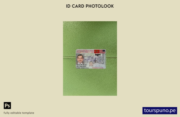 listo para imprimir plantilla frontal de aspecto fotográfico de tarjeta de id 24